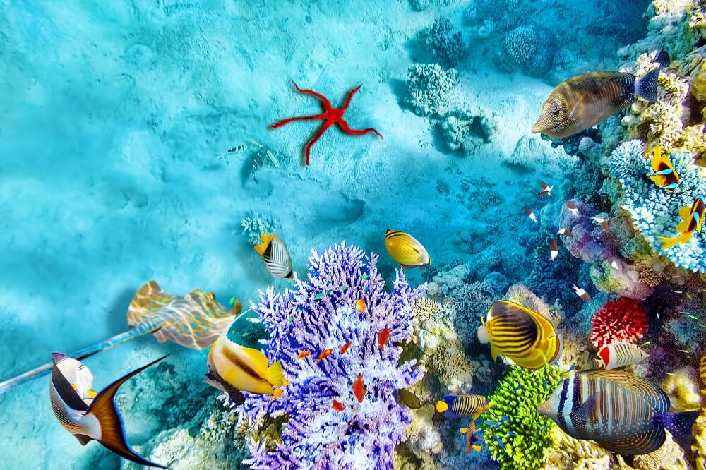 BIG_Maldives-2-2_16733823601007