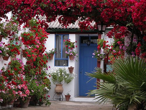 BIG_Fiesta-de-los-Patios-Exotic-Holiday_17716727393502