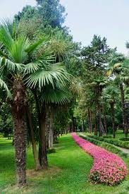 botanicheska gradina batumi