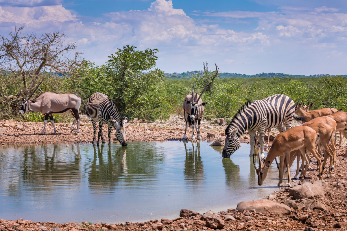 namibia