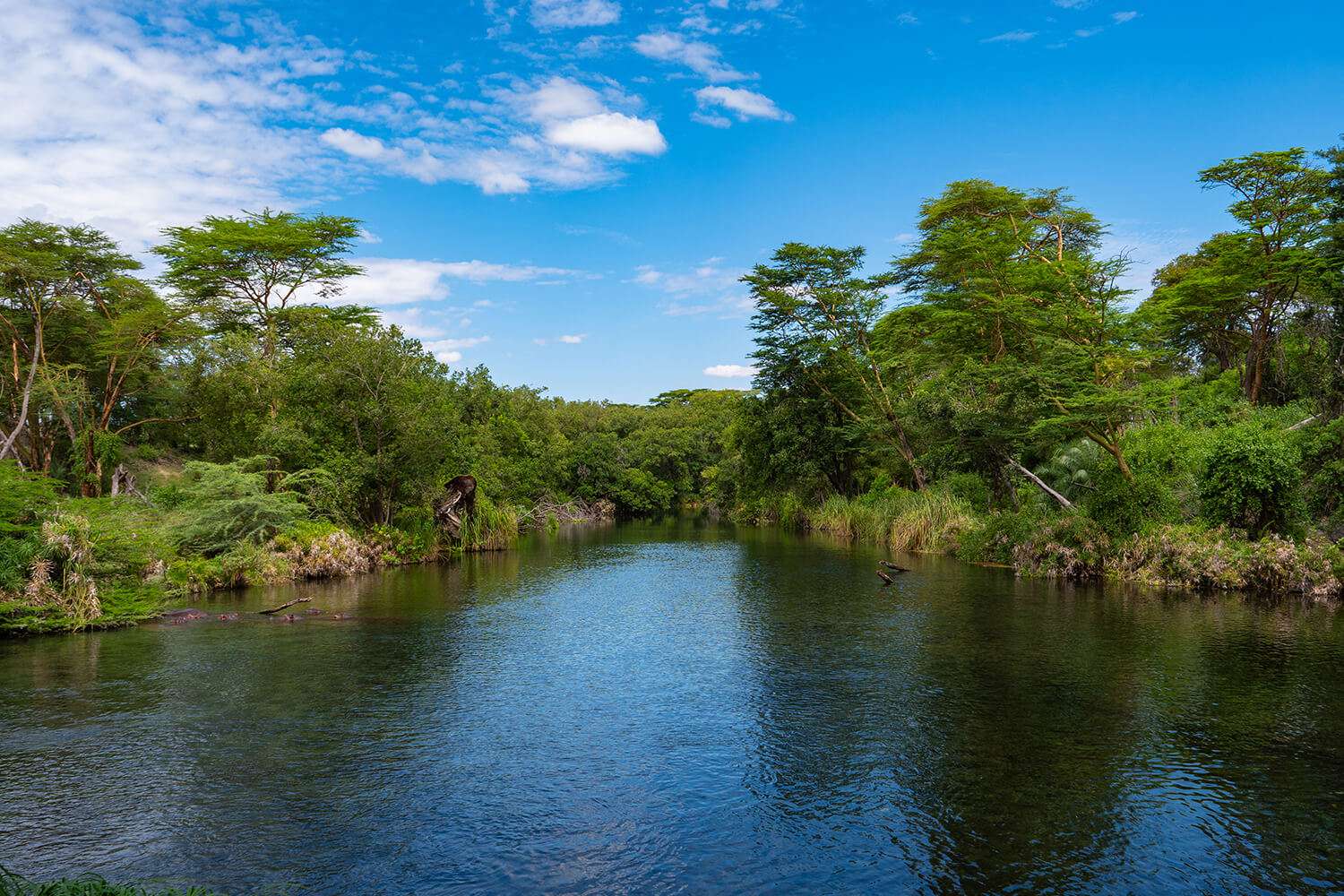 natsionalen park zapadno tsavo