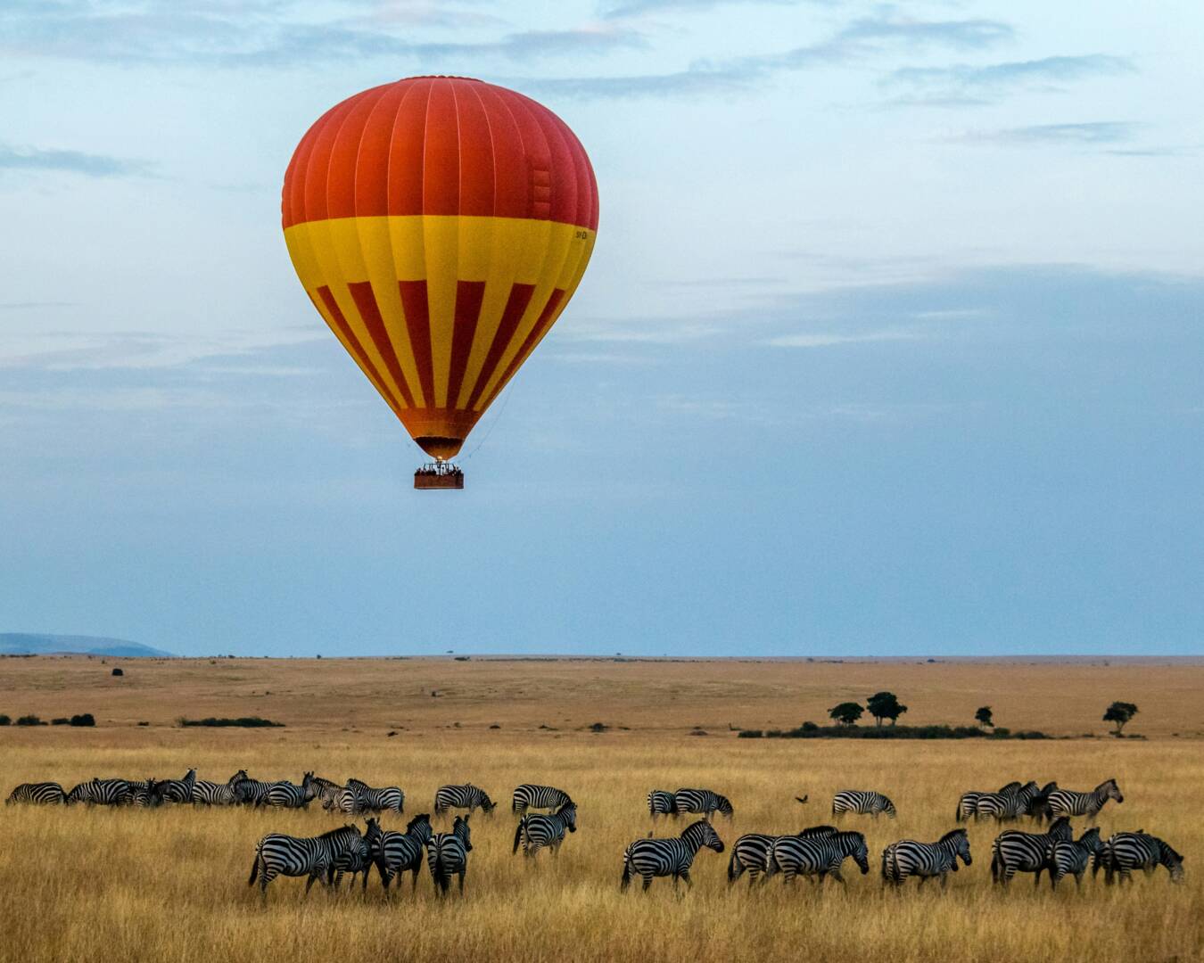 rezervata masay mara