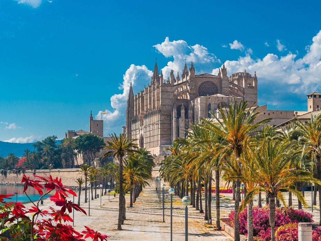 palma de mayorka