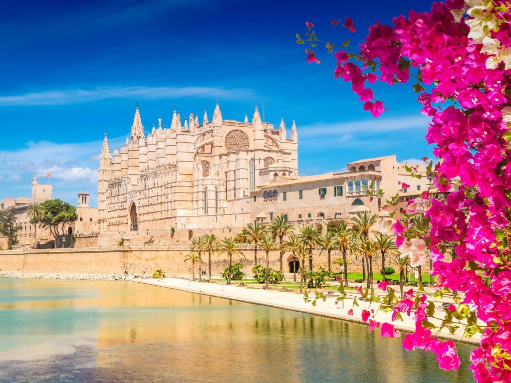 palma de mayorka1