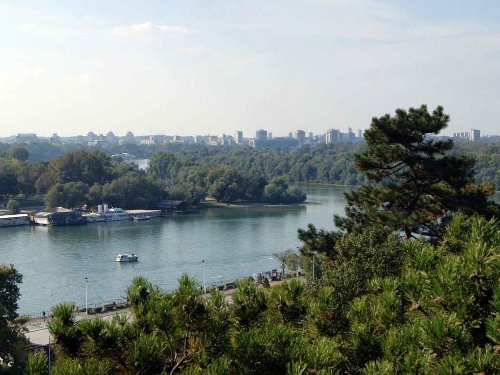 birfestbelgrad4